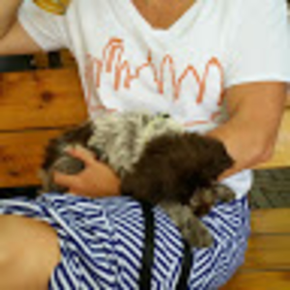 Meet your Posher, Ann